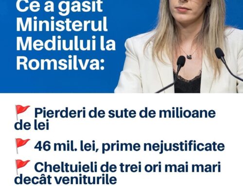 Ministrul Mediului, control amănunțit la Romsilva